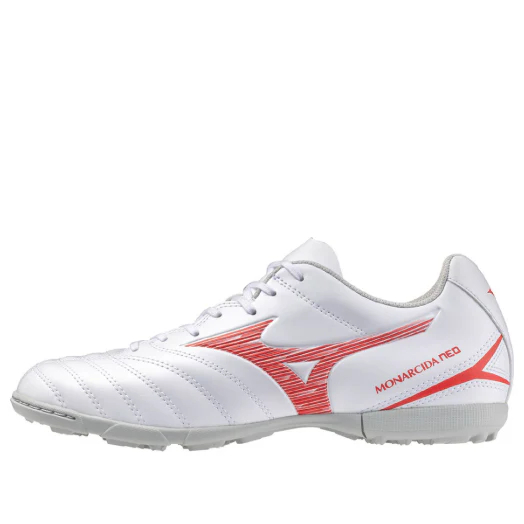 TAQUILLO MIZUNO